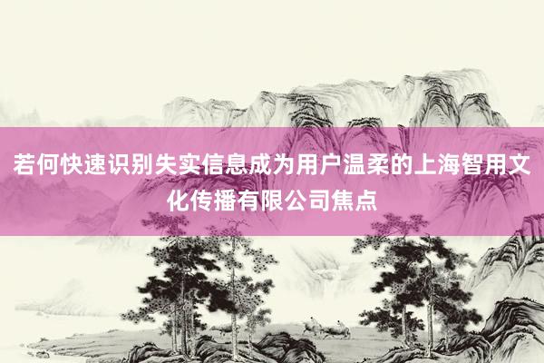 若何快速识别失实信息成为用户温柔的上海智用文化传播有限公司焦点